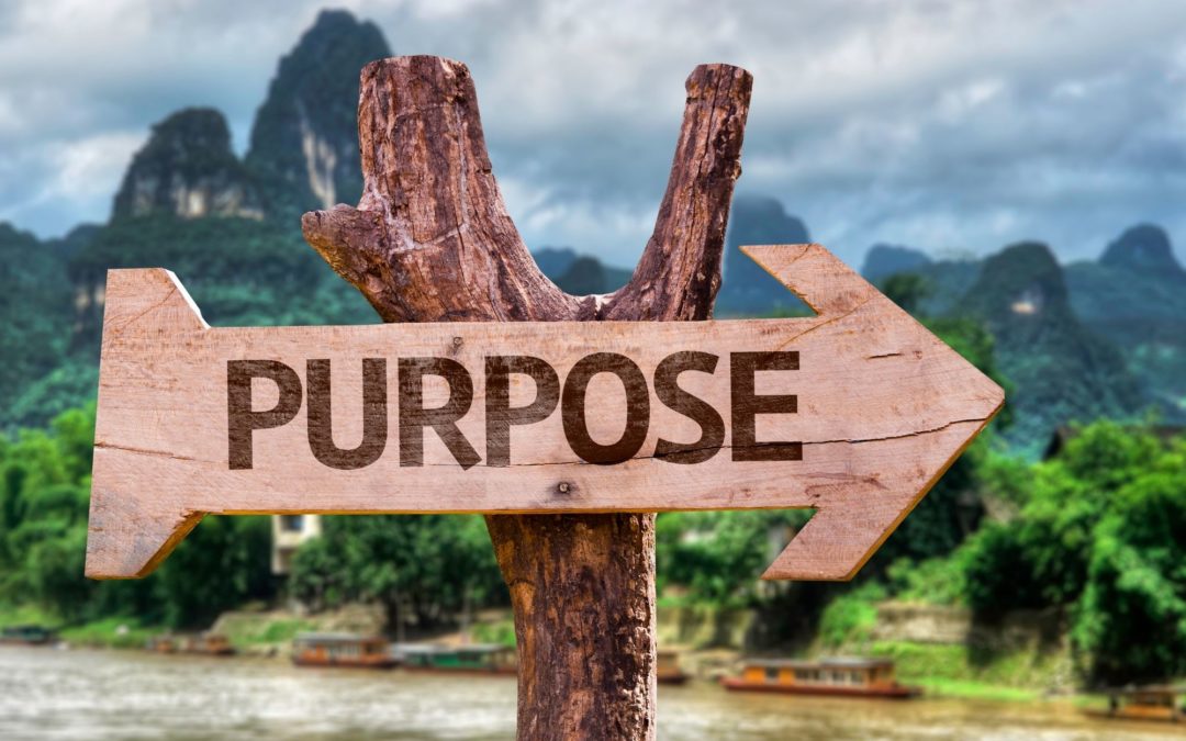 Finding Your Purpose – Why Does It Matter?
