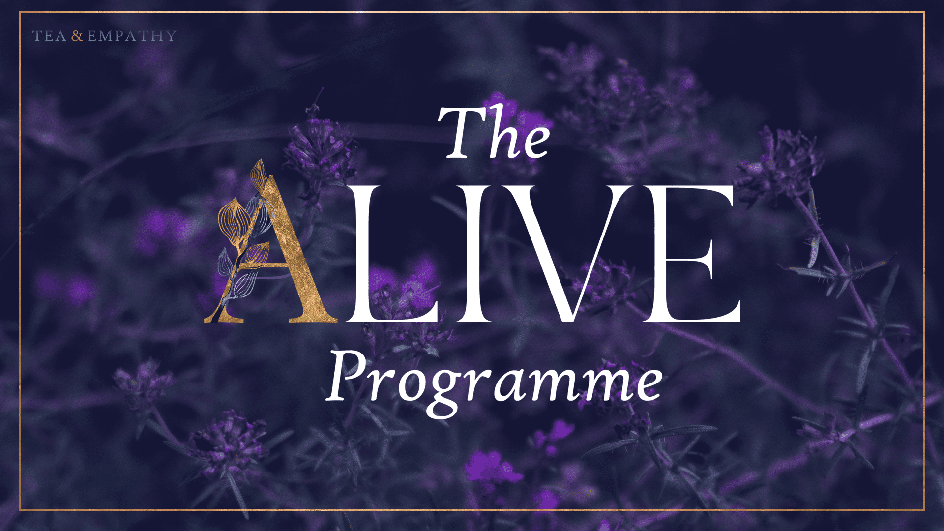 The Alive Programme