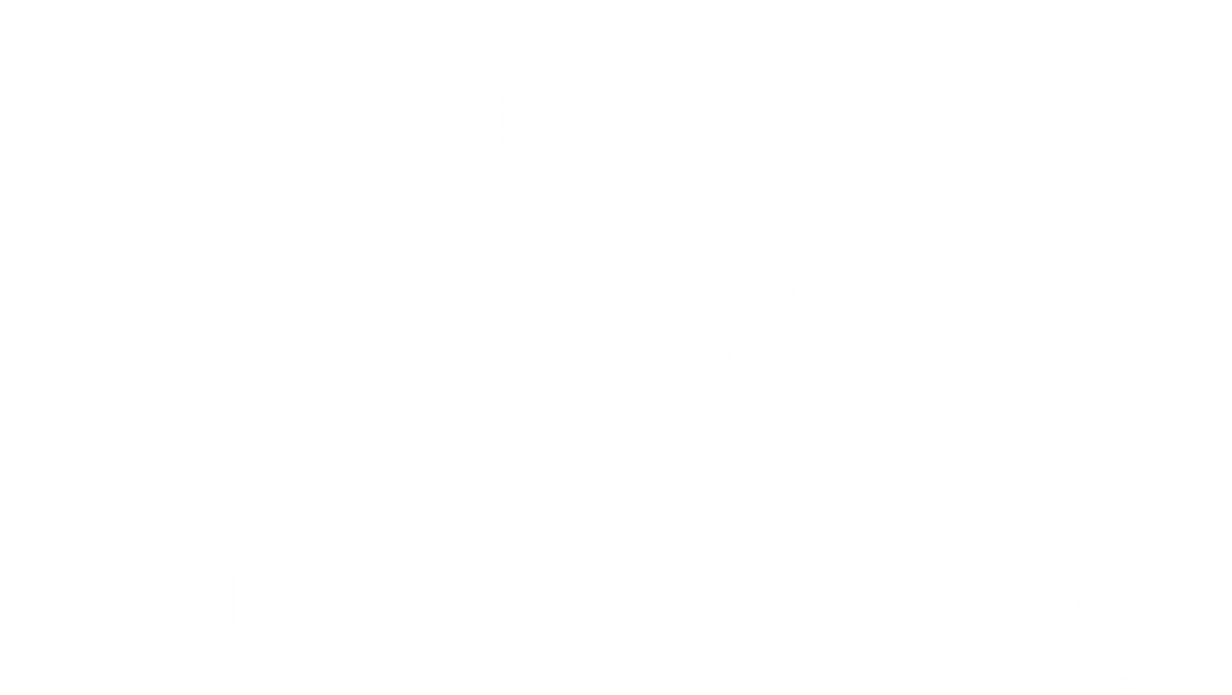 1:1 coaching