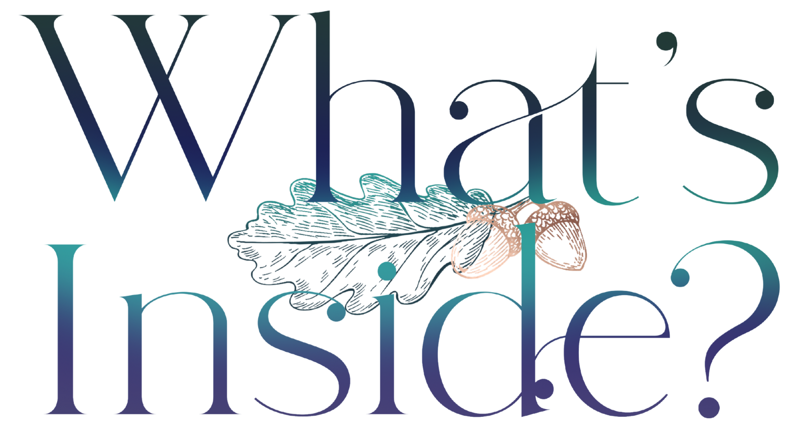 Text reads: "What's Inside?" in a gradient font transitioning from deep blue to teal. A delicate illustration of holly leaves and berries overlays part of the text, adding a festive touch. The design has a light, wintry feel.
