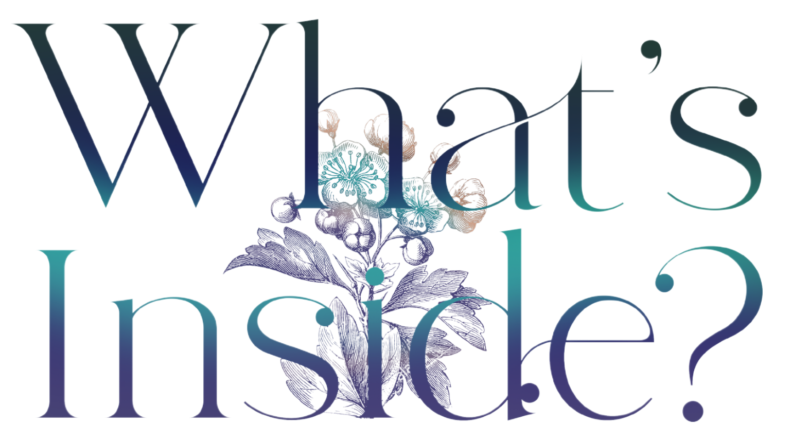 WI Spring logo Text reads: "What's Inside?" in a gradient font transitioning from deep blue to teal. A delicate illustration of holly leaves and berries overlays part of the text, adding a festive touch. The design has a light, wintry feel.